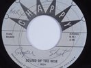 Reggae 45 U-ROY Sound Of The Wise CHAPPY HEAR