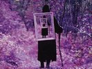 DEJA-VU - Between the leaves 2 LP (BLACK) Pan Records