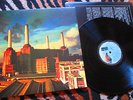 Pink Floyd - Animals