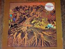 GORGEOUS EX Original WLP PROMO Psych LP by FEVER TREE 