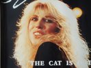Judie Tzuke Cat Is Out Set of 3 Tour Posters 1985