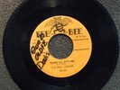 DEL VIKINGS Come Go With Me FEE BEE 205 Listen