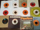 Bruce Johnston  20 45 rpm singles Bruce & Terry, Rogues,The Rip Chords Byrds pro