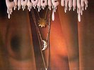 LP ***CHOCOLATE MILK - SAME  ***1976*** VERY RARE**