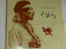 VTG vinyl LP, Crash Landing by Jimi Hendrix-1975 release, Warner Bros. SEALED