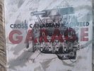 Cross canadian ragweed