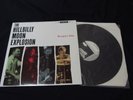 Hillbilly Moon Explosion - Bourgeois Baby Vinyl LP
