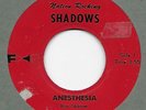 RARE FLA GARAGE - NATION ROCKING SHADOWS - 