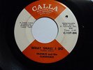 Frankie And The Classicals - What Shall I Do  M-   1966