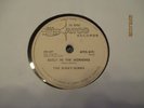 ROCK 78 BOBBY DARIN THE RINKY-DINKS EARLY IN THE MORNING/now were one /import