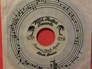 (RARE PRIVATE COUNTRY 45) DIXIE DRIVE - RUNNIN BACK AGAIN / BLIND DEVOTION