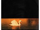 Van Morrison ?Lp Vinile Avalon Sunset / Polydor ?839 262-1 Nuovo 0042283926219