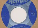 THE ROGUES (Omaha) Anything You Say / Summertime 45 rpm GARAGE