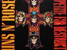 LP GUNS N ROSES APPETITE FOR DESTRUCTION GUNS AND ROSES VINYL