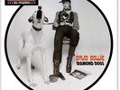 David Bowie – Diamond Dogs - 7? Picture Disc - 40th Anniversary - New Sealed