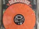 Little Brother-Dead to Me (Orange Vinyl) NOFX, Green Day, Blink-182, Propagandhi