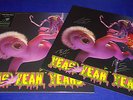 Yeah Yeah Yeahs - Mosquito (2013) 12