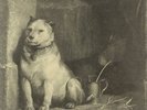 Pavlovs Dog, Pampered Menial  Vinyl Record/LP *NEW*