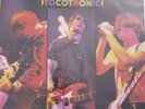 Tocotronic vinyl