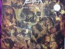 Slayer - Down Into The Fire LP #24/600 Red Vinyl (Reign In Blood, Hell Awaits)