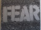 FEAR - The Record - Original Italian LP - Punk Hardcore