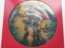 181A	Molly Hatchet	Flirtin' with Disaster	US LIMITED EDITION PICTURE DISC LP