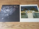 THE COCTEAU TWINS  - 2 X VINYL LPS TREASURE & GARLANDS  NEAR MINT VINYL