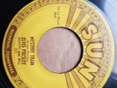 Elvis Presley Original Sun Record Mystery  Train/I Forgot To Remember To Forget
