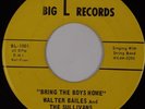 WALTER BAILES: Bring the Boys Home BIG L RECORDS Vietnam BLUEGRASS 45 Hear