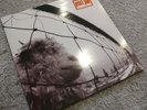 Pearl Jam Vs Vinyl.