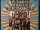 LECTRIC MUSIC REVOLUTION - Lectric Music Revolution LP ***RARE CANADIAN PSYCH***