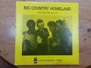 Rare Big Country Homeland live  clear vinyl