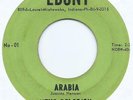 NORTHERN SOUL THE DELCO'S  