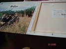 3er LP-The Beatles-Anthology 3-UK