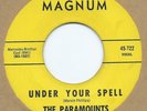 NORTHERN SOUL 45 - THE PARAMOUNTS 