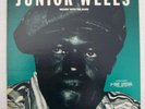 1 LP  JUNIOR WELLS   Messin' With The Blues   1980