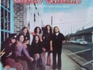 LYNYRD SKYNYRD (Pronounced Leh-nerd Skin-nerd) 1974 UK ISSUE MCG 3502