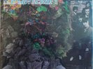 H.P. Lovecraft - H.P. Lovecraft - Philips US LP 1967 original Psychedelic rock