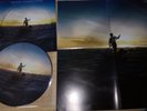 PINK FLOYD PROGRESSIVE ROCK SUPER LIMITED COPY LP