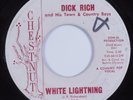 Rockabilly 45 WHITE LIGHTNING Dick Rich CHESTNUT HEAR