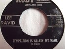 LEE DAVID   TEMPTATION IS CALLIN' MY NAME ** US RUBY 45