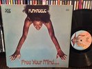 Funkadelic Free Your Mind And Your Ass Will Follow VG+ psych funk MASTERPIECE
