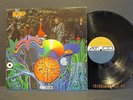 BEE GEES' 1st ATCO-223 gold/blue 1967 Mono Vinyl Lp Record Ex+/N/M