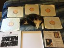 Les Rallizes Denudes Great White Wonder Box Sent Psych Acid Noise Japan Avant