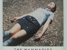 THE WANNADIES - Bagsy Me LP 1996 UK ORIG INDOLENT CARDIGANS CRANBERRIES INDIE