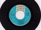 Sonics 45 The Witch/Like No other Man JERDEN garage psych VG