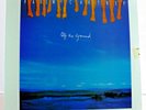 Paul McCartney ?– Off The Ground LP Venezuelan Press 1993 Parlophone SEALED