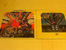 TRADER HORNE -MORNING WAY-LP reissue of 1970 -psych folk- foc-Klappcover
