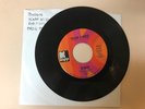 PROG PSYCH 45 RPM RECORD - BUDGIE - KAPP K-2152