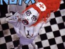 Pump Up the Valuum [LP] by NOFX (Vinyl, Oct-2004, Epitaph Records USA)